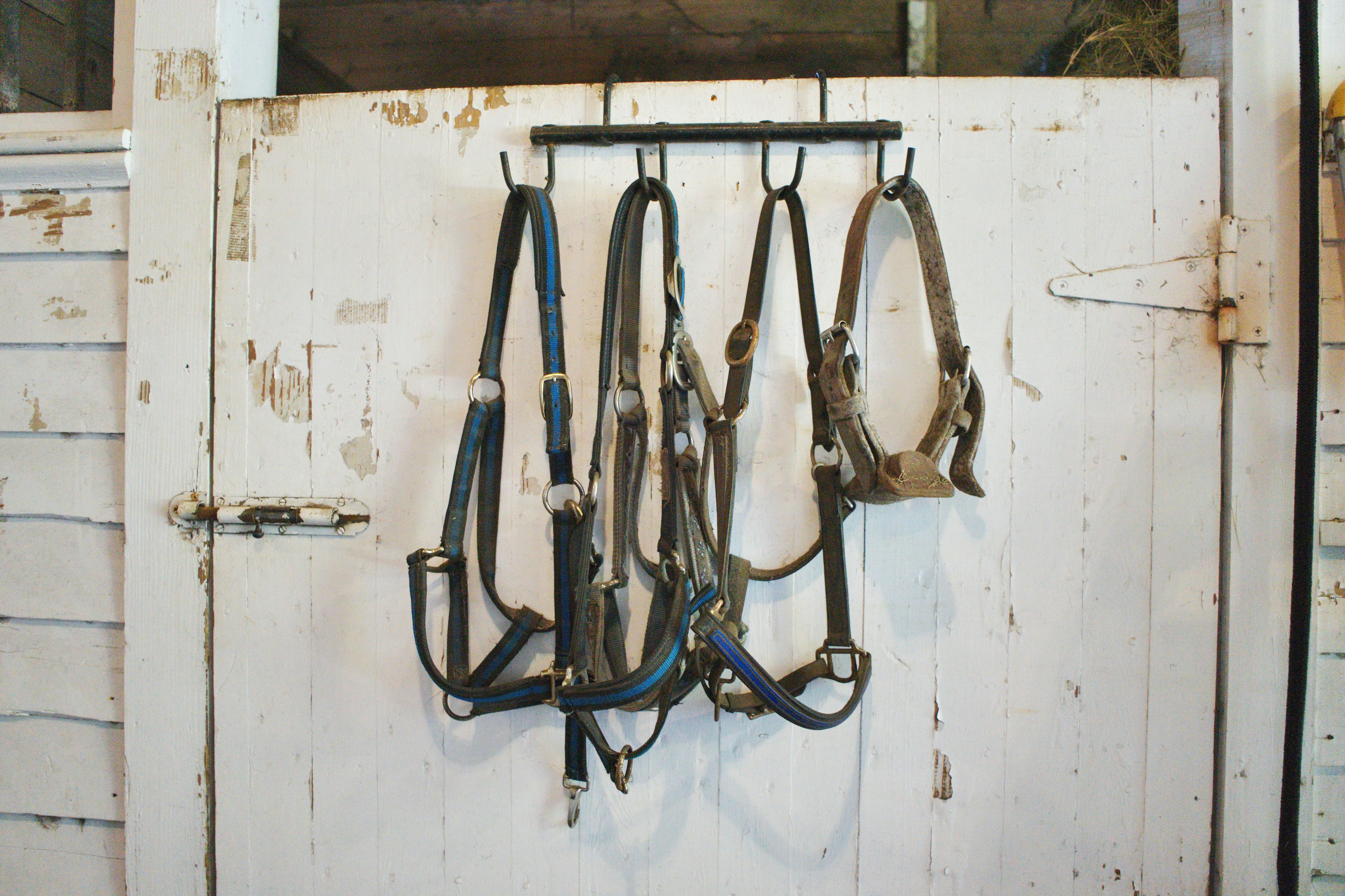 Step-by-Step Guide: Building a Horse Stall