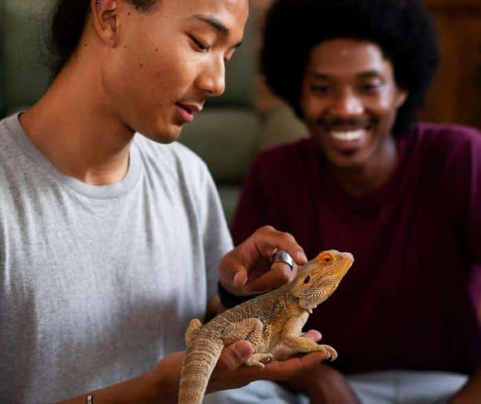 A pet lizard and their owners