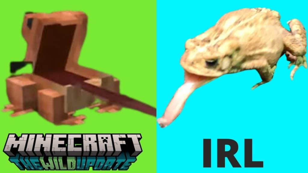 Minecraft Frogs: A Realistic Comparison to Wild Frogs